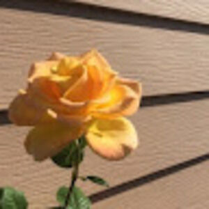 Meet your Posher, Destini